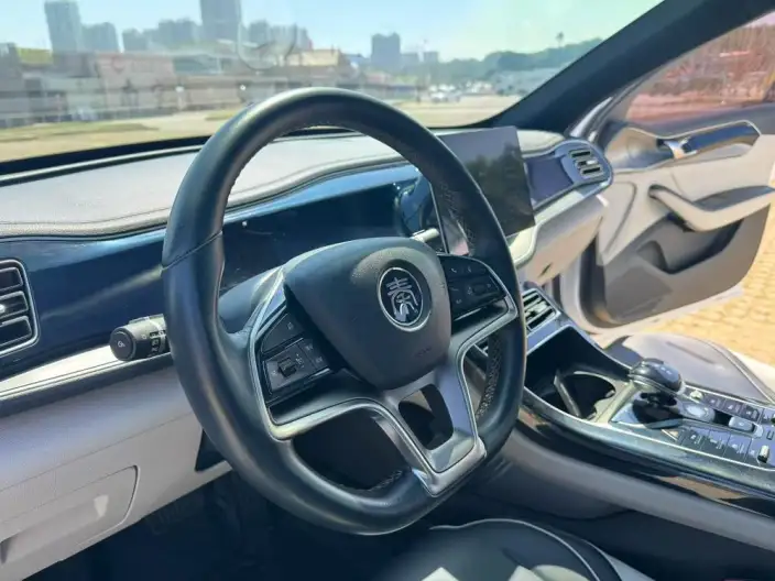 Qin Plus EV 2021 Model 400KM Luxury Model – фото 7