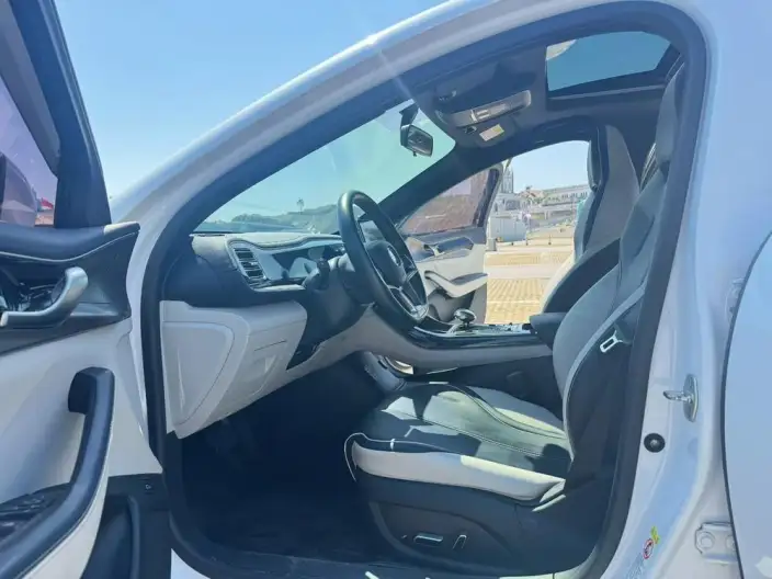 Qin Plus EV 2021 Model 400KM Luxury Model – фото 8