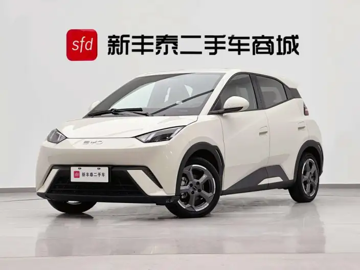 BYD Seagull 2024 Model Honor Edition 305KM Free Edition