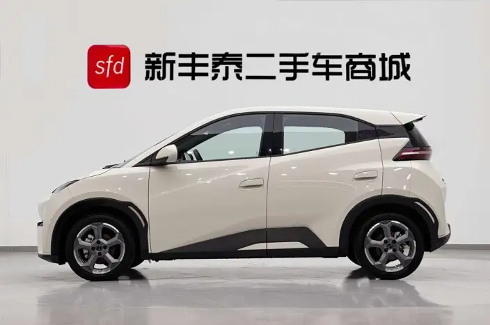 BYD Seagull 2024 Model Honor Edition 305KM Free Edition