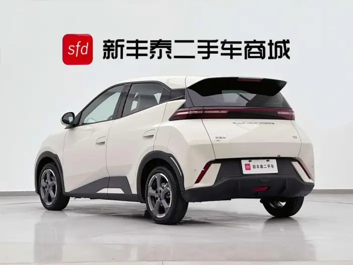 BYD Seagull 2024 Model Honor Edition 305KM Free Edition