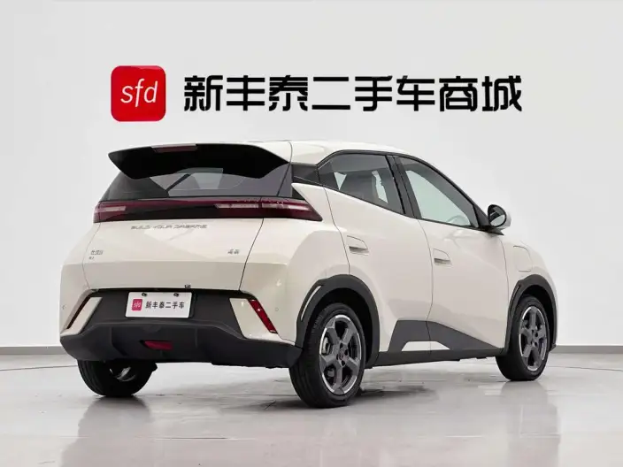 BYD Seagull 2024 Model Honor Edition 305KM Free Edition – фото 6