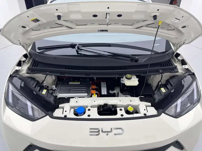 BYD Seagull 2024 Model Honor Edition 305KM Free Edition – фото 8
