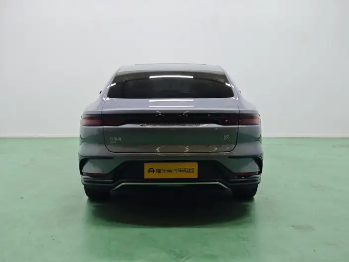 BYD Han DM 2023 Model DM-i Champion Edition 121KM Exclusive Model – фото 6