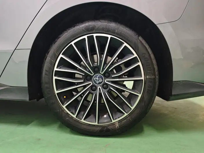 BYD Han DM 2023 Model DM-i Champion Edition 121KM Exclusive Model – фото 9