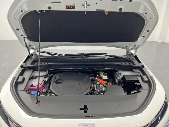 Geely Boyue REV 2026 Model 220km Long Battery Life Pro Platinum Extended Range Zhizun Edition – фото 10