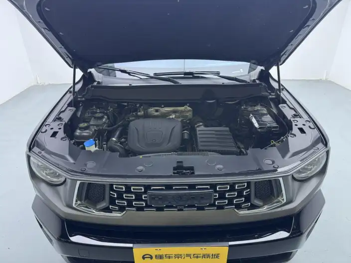 Haval Dachdog PLUS PHEV 2024 Model Hi4 102km Trendy Electric Edition Plus – фото 10