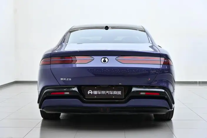 DENZA Z9 DM 2024 Model 1100 4WD Ultra Edition – фото 6
