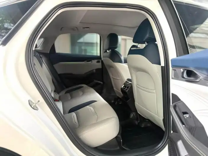 Geely StarRui 2023 Model 2.0T Noble Model – фото 8
