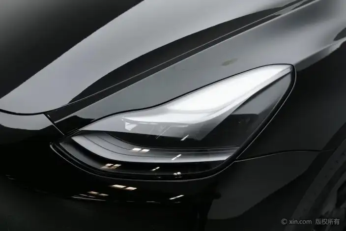 Model Y 2021 Model Standard Battery Life Rear-wheel drive version – фото 5