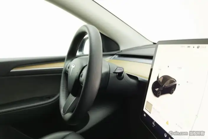 Model Y 2021 Model Standard Battery Life Rear-wheel drive version – фото 6