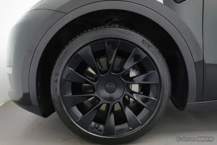 Model Y 2021 Model Standard Battery Life Rear-wheel drive version – фото 9