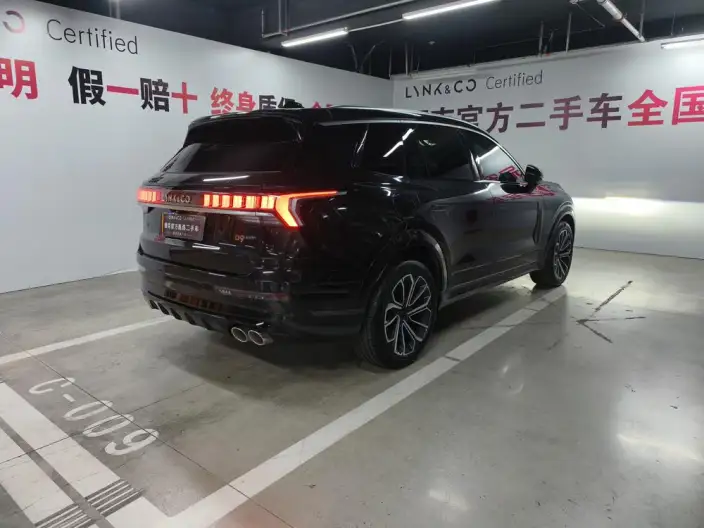 Lynk & Co 09 2024 Model 2.0T 4WD Sports Edition – фото 7