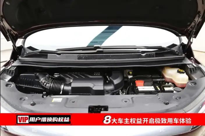 Century 2023 Model 2.0T VII seat Yunshi Edition – фото 7