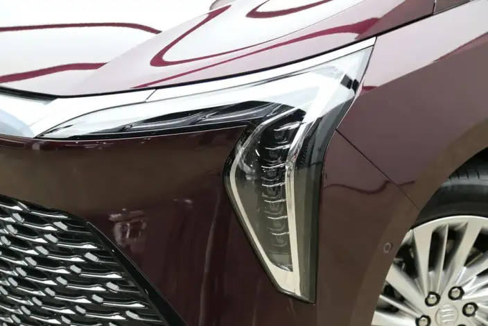 Century 2023 Model 2.0T VII seat Yunshi Edition – фото 8