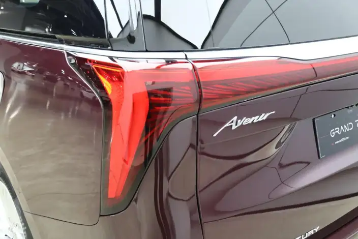 Century 2023 Model 2.0T VII seat Yunshi Edition – фото 9