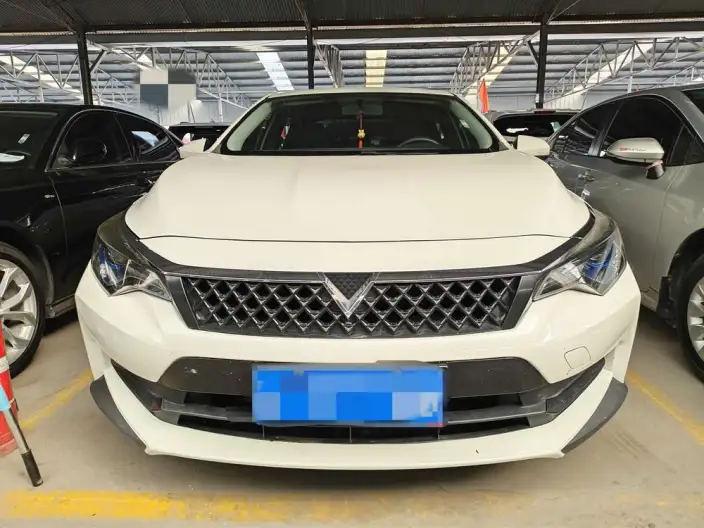 Venucia D60 2021 Model 1.6L XE CVT Smooth Ride Edition – фото 2