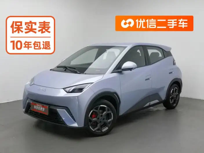 BYD Seagull 2025 Model 305KM Free Edition – фото 1