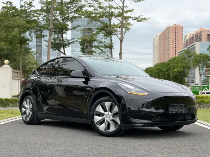 Model Y 2022 Model Rear-wheel drive version