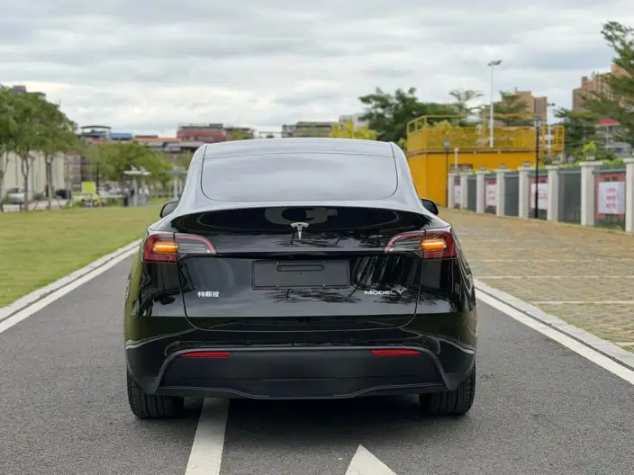 Model Y 2022 Model Rear-wheel drive version – фото 5