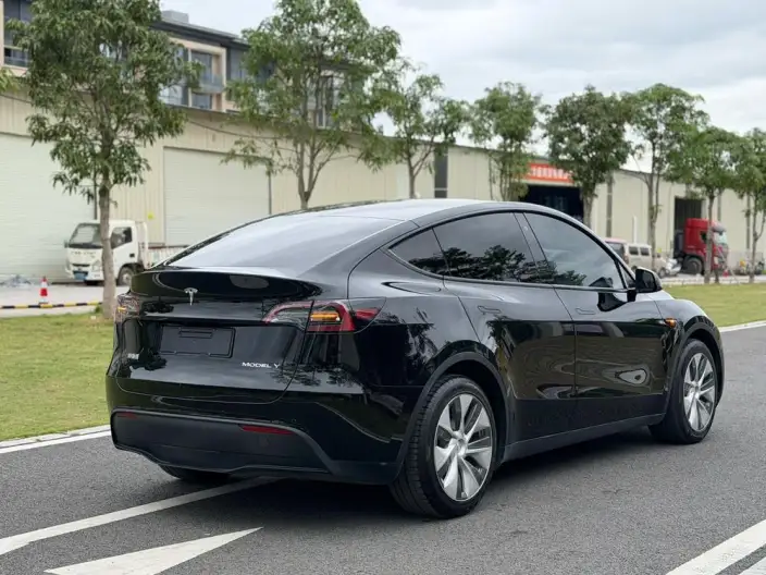 Model Y 2022 Model Rear-wheel drive version – фото 6