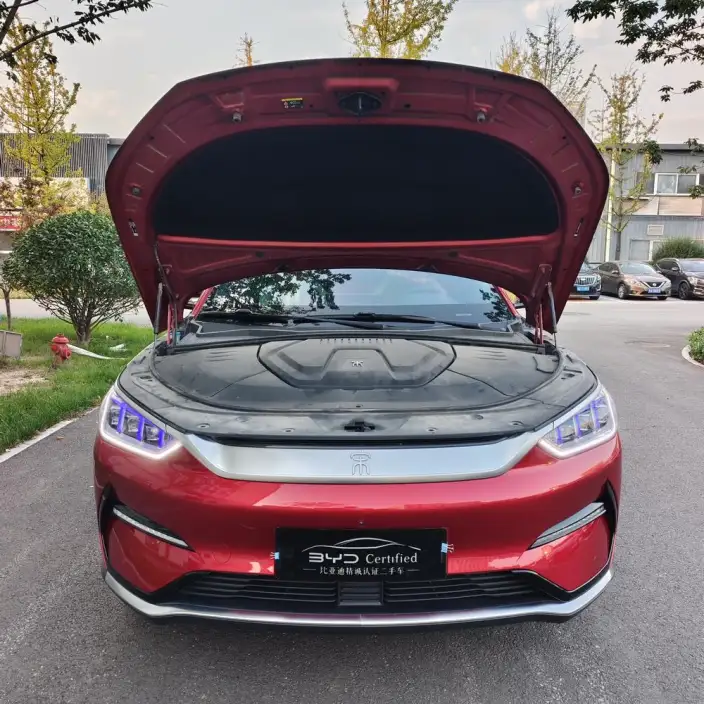 BYD Song PLUS EV 2021 Model Flagship Model – фото 2