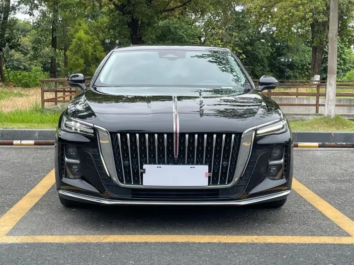 Hongqi H5 2024 Model 2.0T Automatic Flag Enjoy Edition – фото 2