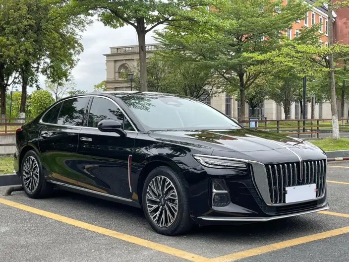 Hongqi H5 2024 Model 2.0T Automatic Flag Enjoy Edition – фото 3