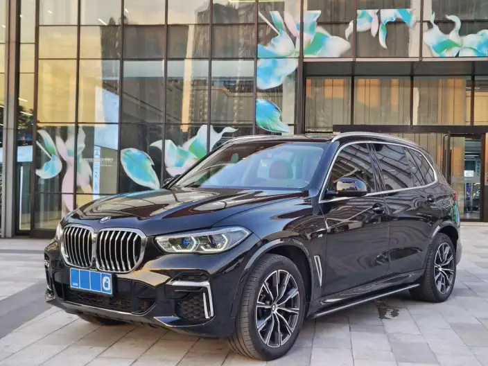 BMW X5 2022 Model xDrive 30Li Exclusive Model M Sports Set – фото 1