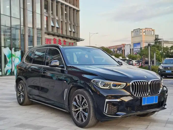 BMW X5 2022 Model xDrive 30Li Exclusive Model M Sports Set – фото 3