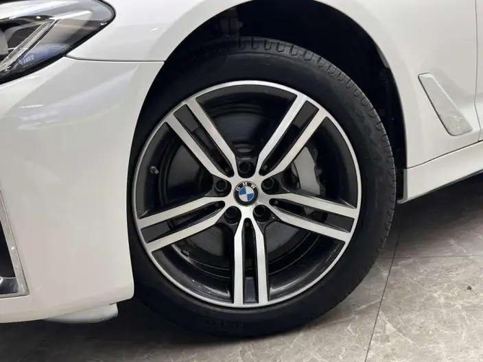 BMW 5 Series 2022 Model Facelift II 530Li Leading Model Luxury Set – фото 10