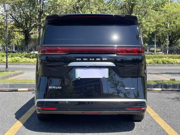 DENZA D9 DM 2022 Model 970 4WD Flagship Model – фото 6
