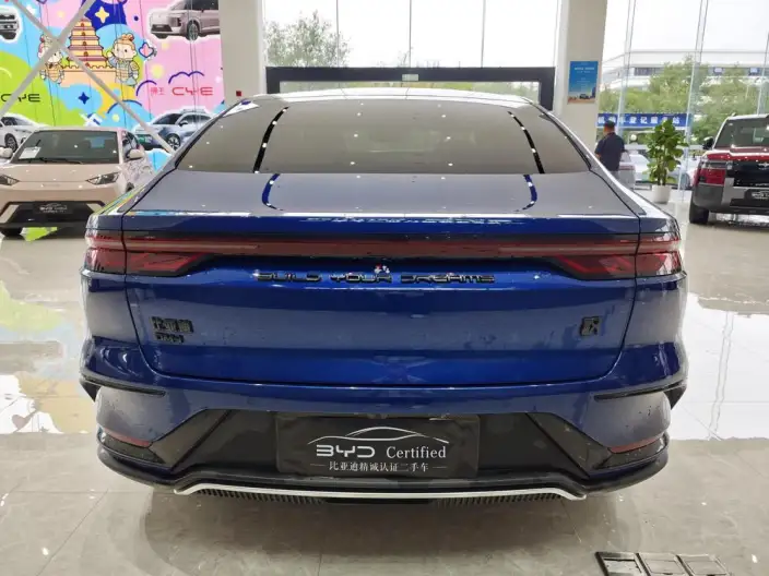 BYD Han DM 2022 Model DM-i 121KM Exclusive Model – фото 6