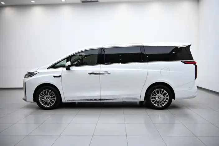 Wey Gaoshan P HEV 2025 Model 4WD Wey Gaoshan 8 – фото 4