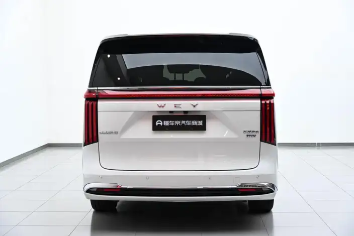 Wey Gaoshan P HEV 2025 Model 4WD Wey Gaoshan 8 – фото 6