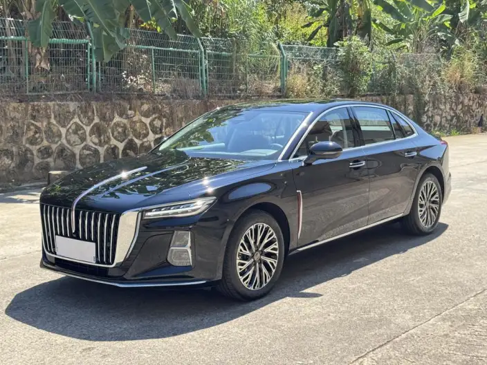 Hongqi H5 2025 Model 2.0T Automatic Flag Enjoy Edition – фото 1