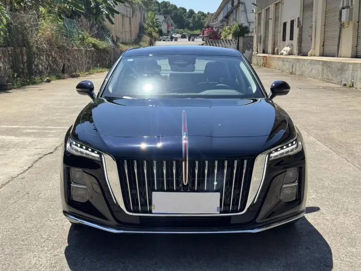 Hongqi H5 2025 Model 2.0T Automatic Flag Enjoy Edition – фото 2