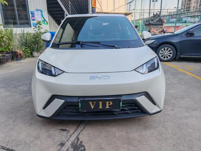 BYD Seagull 2024 Model Honor Edition 305KM Vitality Edition