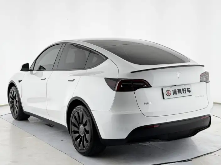 Model Y 2022 Model Rear-wheel drive version – фото 5