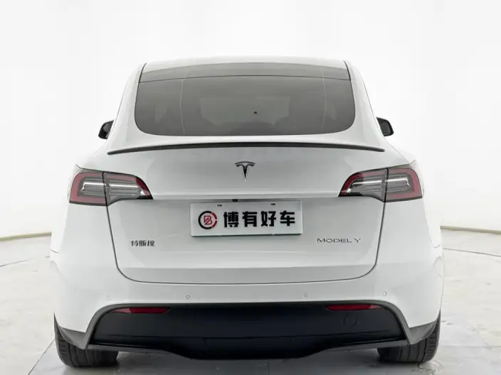 Model Y 2022 Model Rear-wheel drive version – фото 6