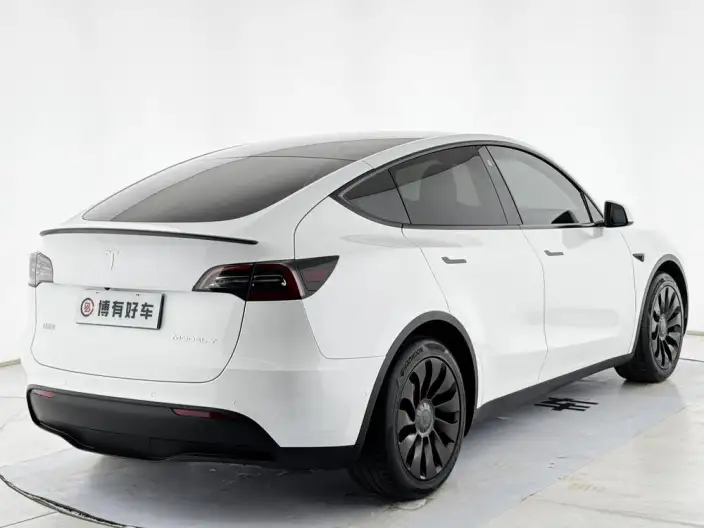 Model Y 2022 Model Rear-wheel drive version – фото 7