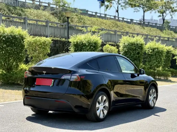 Model Y 2022 Model Facelift Rear-wheel drive version – фото 6