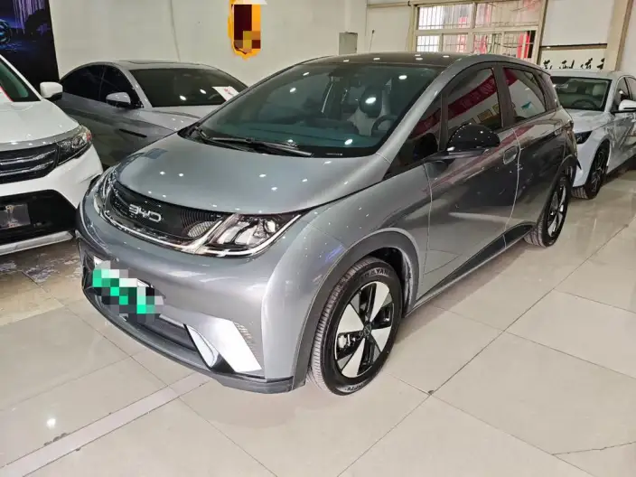 BYD Dolphin 2023 Model Fashion Edition