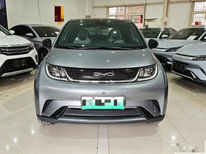 BYD Dolphin 2023 Model Fashion Edition