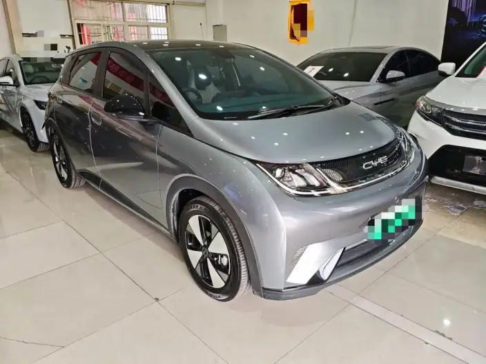 BYD Dolphin 2023 Model Fashion Edition