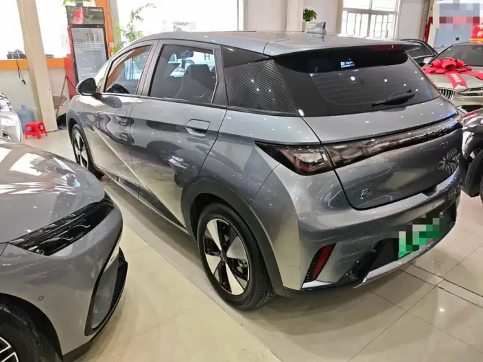 BYD Dolphin 2023 Model Fashion Edition