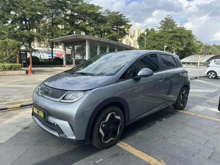 BYD Dolphin 2021 Model Fashion Edition