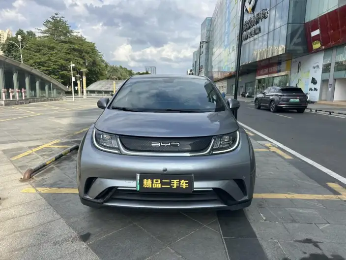 BYD Dolphin 2021 Model Fashion Edition