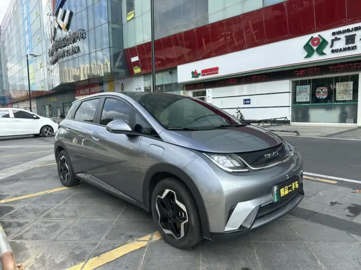 BYD Dolphin 2021 Model Fashion Edition