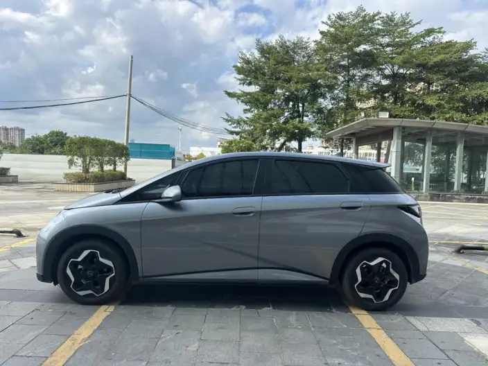 BYD Dolphin 2021 Model Fashion Edition
